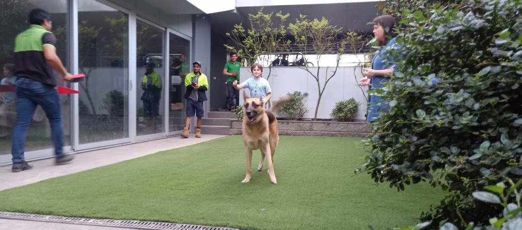 Safe Use With Dogs