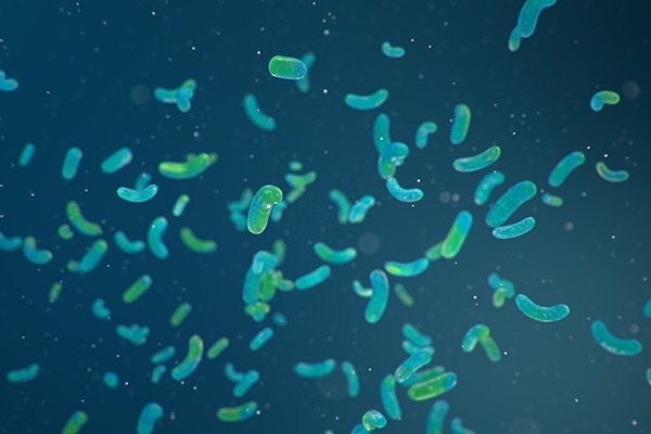 Antibacterial