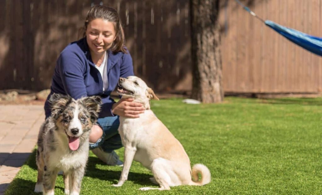 Artificial Grass For Dogs Digging